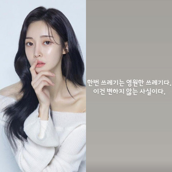 '넷째 임신' 아름, '티아라 왕따' 폭로 후 또 저격 "한번 쓰레기는 …