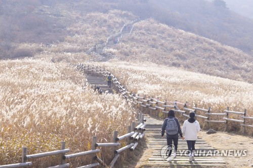 전국 첫 해양산악레저특구 노린다…울산 대왕암공원·영남알프스