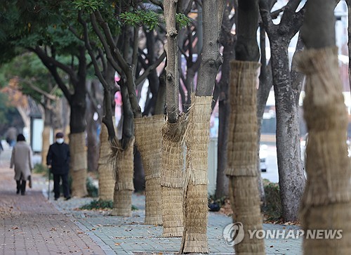 충북 흐리고 오후에 비 또는 눈…낮 최고 6도