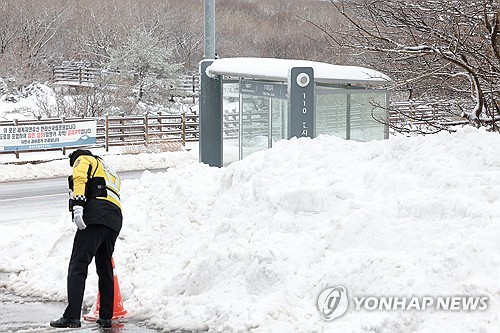 제주도 산지 대설주의보…"시간당 1∼2㎝ 강한 눈"