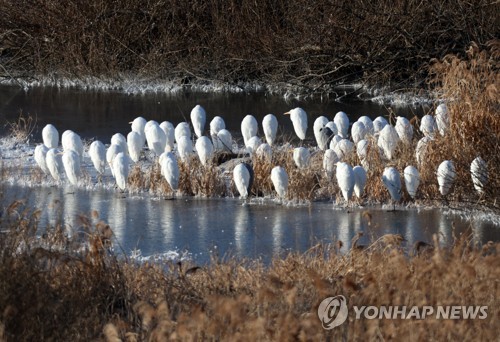 강원 내륙·산지에 가끔 비 또는 눈…동해안 대기 건조