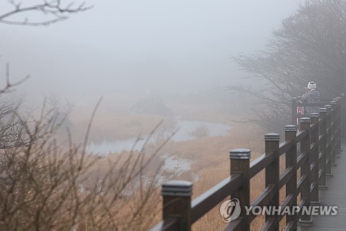 제주 흐리고 가끔 비 또는 눈…낮 최고 10∼12도