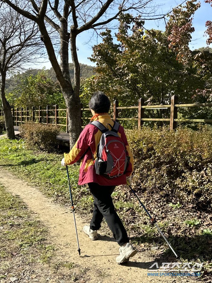 "운동이 힘드냐고?운동해야 힘나지!? 대전 '액티브 시니어'들의 노르딕워…