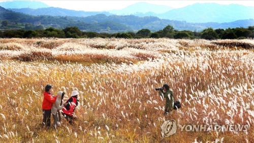 충주시, 현대엘리베이터·원주환경청과 '비내섬 보전' 협약