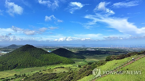 제주 오름 보전하려면…탐방로 나무뿌리 드러나면 복구나 통제