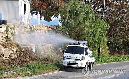 음성 조류인플루엔자 방역대 해제…발생 39일만