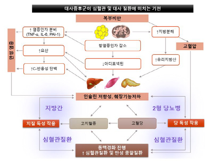 분당서울대병원 임수 교수, '대사증후군' 집대성한 종설 논문 네이처 리뷰…