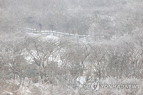 제주 해안 지역에 올겨울 첫눈…평년보다 8일 늦어