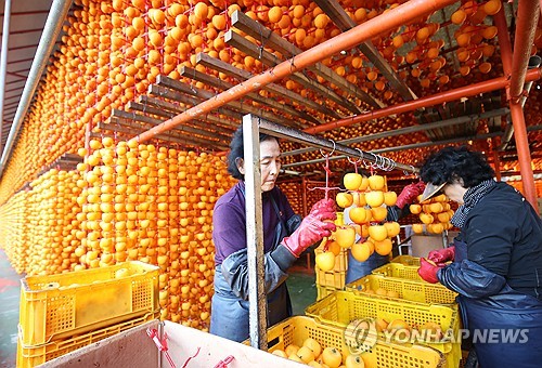 [여행소식] 코레일관광개발, 상주 곶감축제 상품 내놔