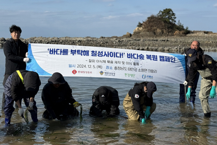 롯데칠성, 바다 복원 위한 '잘피숲' 조성 노력