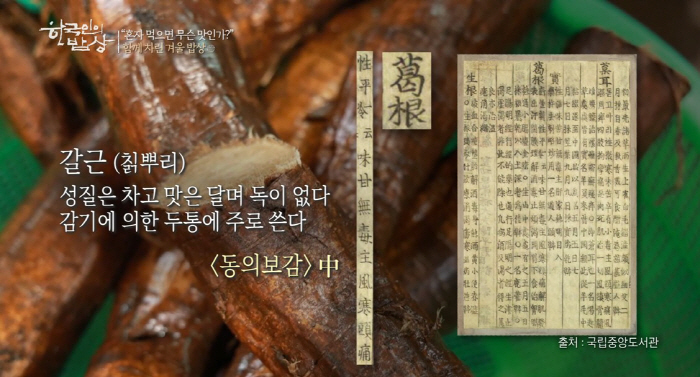 '한식 마니아' 태양이 소개한 마을 특산물 '칡'…천연 피로회복제로 불리…