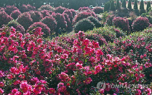 경기북부·강원산지 아침기온 -15도까지 '뚝'…낮 1∼7도