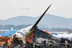 제주항공 참사? 무안공항 참사?…명칭 둘러싸고 누리꾼 갑론을박