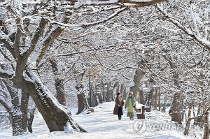 담양 적설량 8㎝…전남 5개 시군 대설주의보