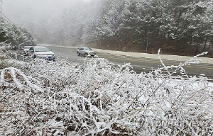 강설로 대구·경북 도로 5곳 통제…팔공산 최대 4㎝ 쌓여