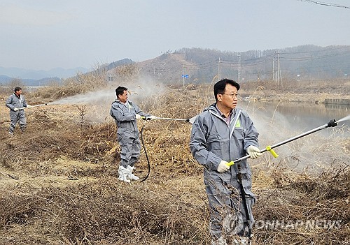 축사 출입 자제하세요…군산시, 설 연휴 가축전염병 차단 '총력'