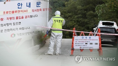 충북 진천서 AI…방역당국 "고병원성 여부 확인 중"