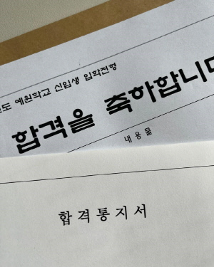 '명문고 합격' 정시아 딸, 전시회까지 열었다..수준급 그림실력 화제