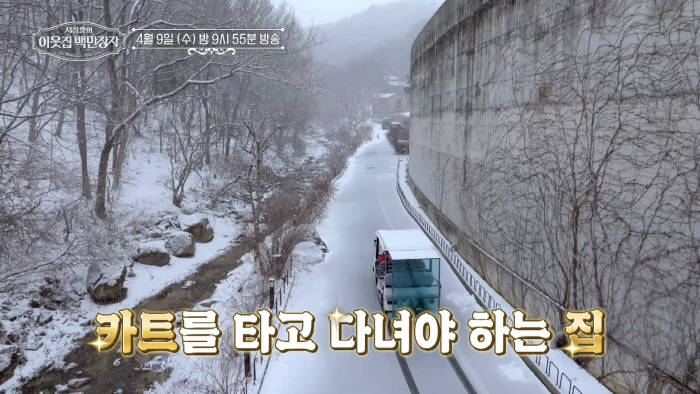 "집만 22채, 대지 1만평"..'앙드레김 양머리 창시자' 이상일, 이 …