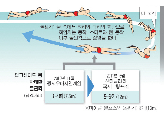 박태환업글돌핀킥