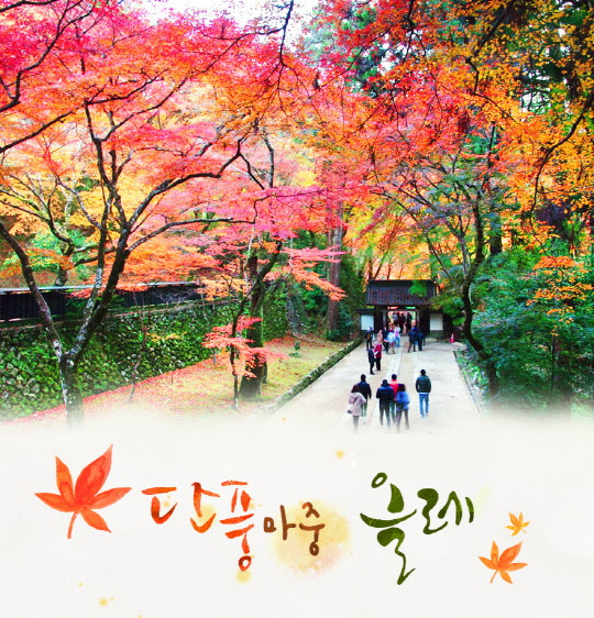 참좋은여행, 가을 일본 규슈 여행 '단풍마중 올레' 출시