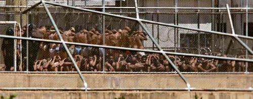 브라질 교도소 수감자 470명 집단 탈옥…과밀수용에 폭동·방화